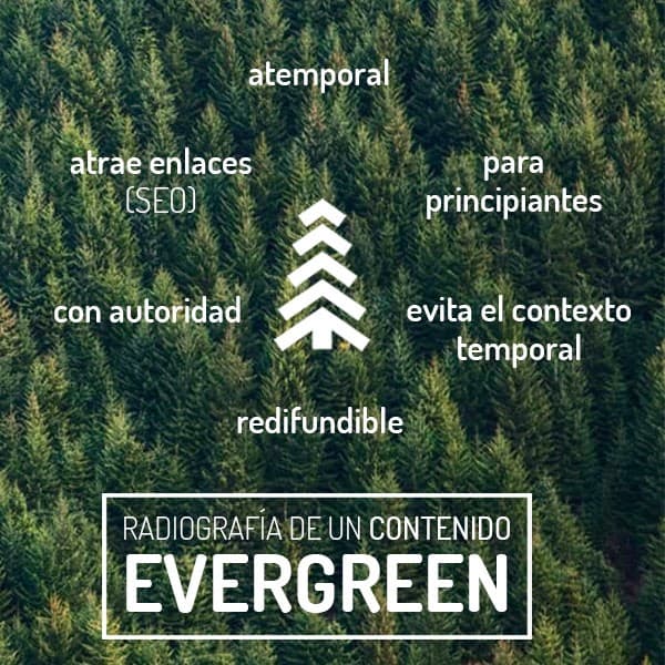 radiografia del contenido evergreen